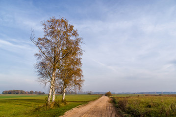 Złota polska jesień na Podlasiu, Dolina Narwi, Podlasie, Polska © podlaski49