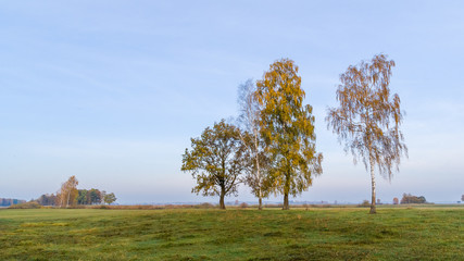 Złota polska jesień na Podlasiu, Dolina Narwi, Podlasie, Polska © podlaski49