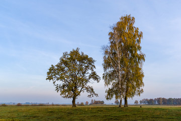 Złota polska jesień na Podlasiu, Dolina Narwi, Podlasie, Polska © podlaski49