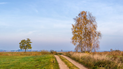Złota polska jesień na Podlasiu, Dolina Narwi, Podlasie, Polska © podlaski49