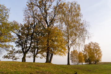Złota polska jesień na Podlasiu, Dolina Narwi, Podlasie, Polska © podlaski49