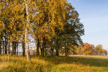 Złota polska jesień na Podlasiu, Dolina Narwi, Podlasie, Polska © podlaski49