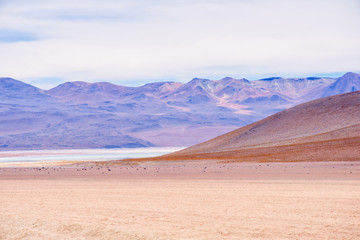 Dali Desert, Eduardo Avaroa Andean Fauna National Reserve, Bolivia