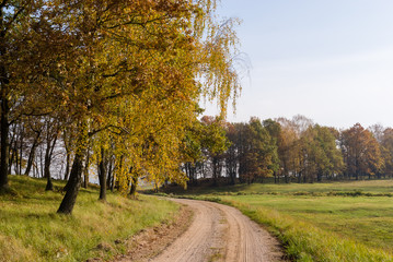 Złota polska jesień na Podlasiu, Dolina Narwi, Podlasie, Polska © podlaski49