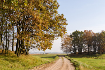 Złota polska jesień na Podlasiu, Dolina Narwi, Podlasie, Polska © podlaski49