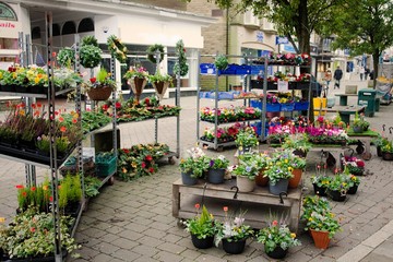 Flower stall shelving shop front
