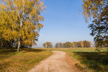 Złota polska jesień na Podlasiu, Dolina Narwi, Podlasie, Polska