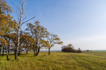 Złota polska jesień na Podlasiu, Dolina Narwi, Podlasie, Polska © podlaski49