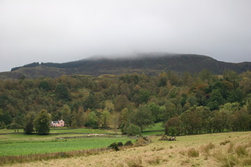Fototapeta premium Highlands