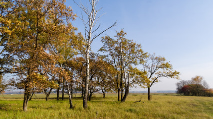 Złota polska jesień na Podlasiu, Dolina Narwi, Podlasie, Polska © podlaski49