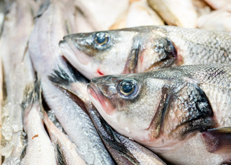 fresh sea bass at a market stall