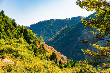 兵庫県・山なみの秋景色
