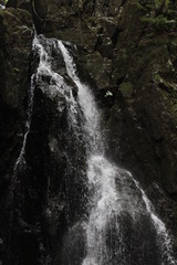 山の中の小さな滝