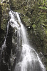 Fototapeta na wymiar 山の中の小さな滝