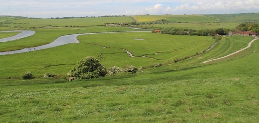 view of green fields