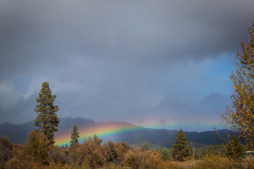 Rainbow After Rain in Hayfork, California
