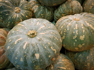 Background with fresh Raw Pumpkins