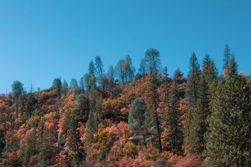 Autumn Landscape in Hayfork, California