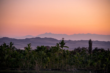 Sunset landscape view of silhouette mountains and lonely trees in Azerbaijan. Sheki