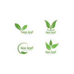 tea leaf logo vector icon illustration design 