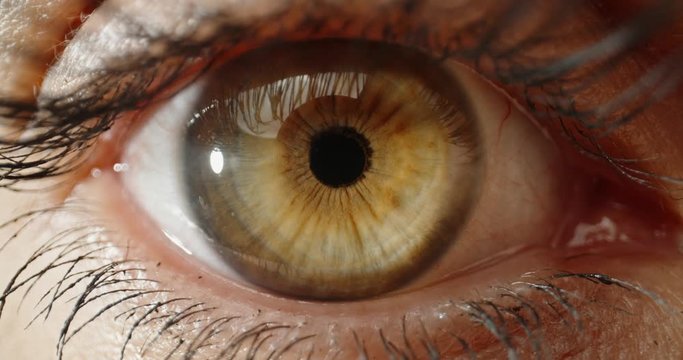 Extreme close up shot of beautiful female eye with green iris blinking and looking at camera - 4k footage