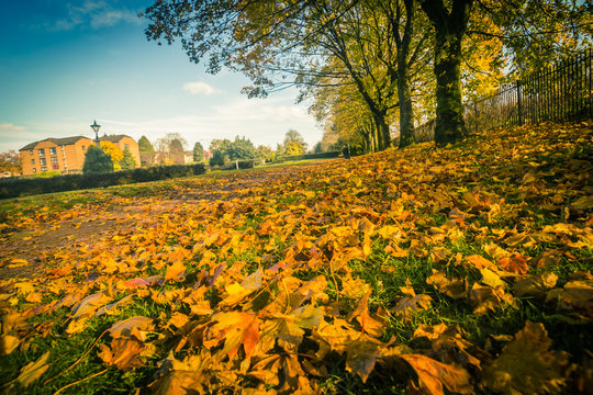 Autumn in the beautiful West End Park in Airdrie with the sun rays and trees with orange leaves in Scotland, UK