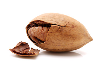 Pecan nuts on white background