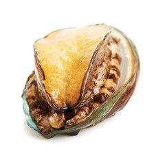 Raw abalones on the white background