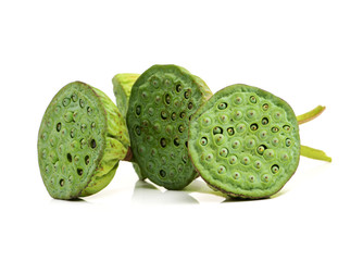 calyx on a white background