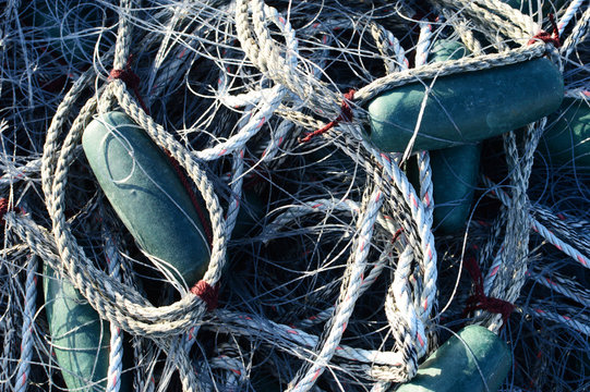 漁業用の網と浮き