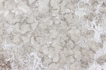 Gray wall texture background,abstract cement surface,ideas graphic design for web or banner