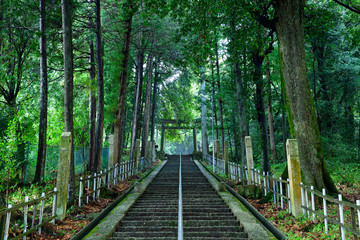 Obraz premium 神社