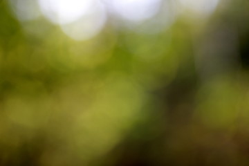 Natural green and blue blured background with bokeh