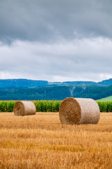 Hay bales on the field after harvest