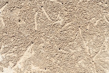 beach textured with crabs holes and sand balls