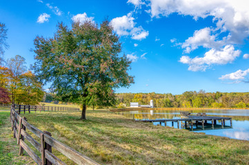 Fence and tree next to a pond with a farm with a barn and silo in the background