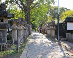 上野東照宮の参道