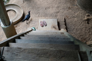 construction worker cutting metal