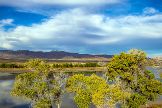 The White River in Pahranagat National Wildlife Refuge in Nevada in autumn