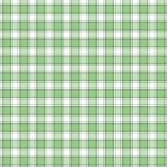 Checkered green and white check pattern background,vector illustration,Gingham