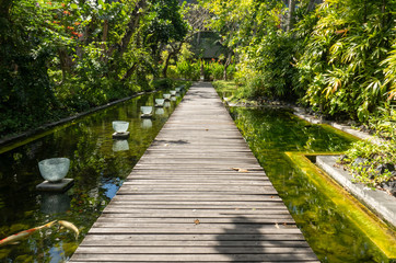 Fototapeta premium Waking on the wooden boardwalk through lush tropical gardens in Bali