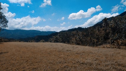 landscape with mountains and blue sky