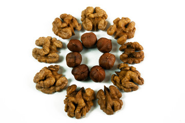 walnuts on white background