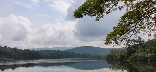 lake in deep forest