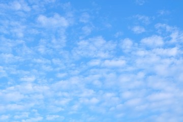 Beautiful Blue Sky with Fluffy White Clouds