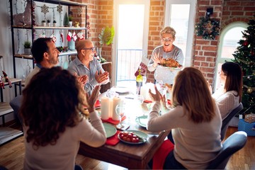 Family and friends dining at home celebrating christmas eve with traditional food and decoration, showing proud turkey cooking