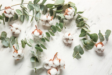 Beautiful cotton flowers and eucalyptus branches on light background