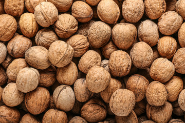 Many tasty walnuts as background
