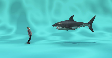 Looking up to a shark