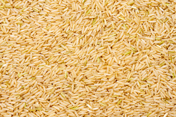 Closeup Thai organic coarse brown rice texture for background.Thai aromatic rice concept. Dry long  loonzain rice grain for healthy eating lifestyle. Close up.